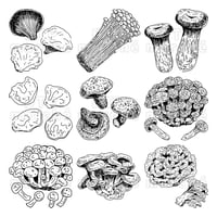 きのこのペン画イラストセット-010004