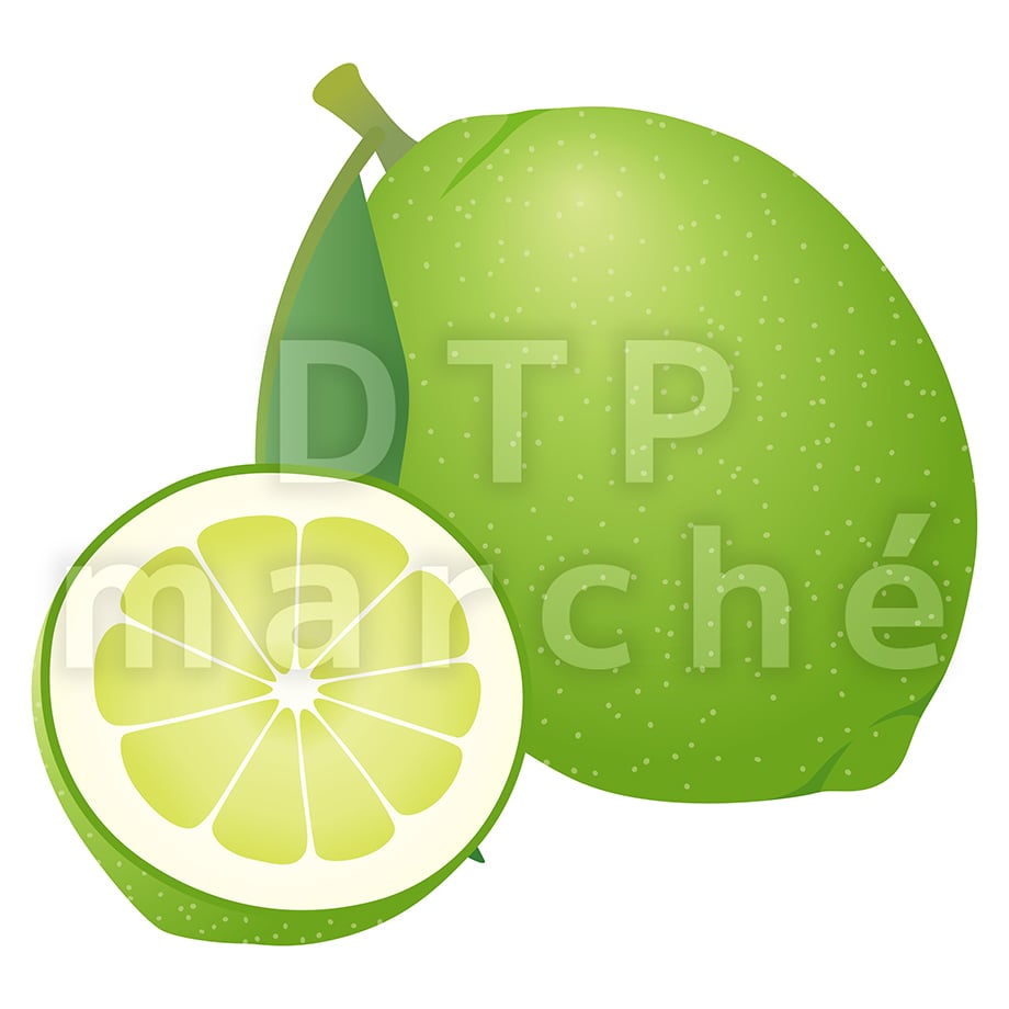67bd31763626e4002929ca7f