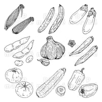 夏野菜のペン画イラストセット-010001