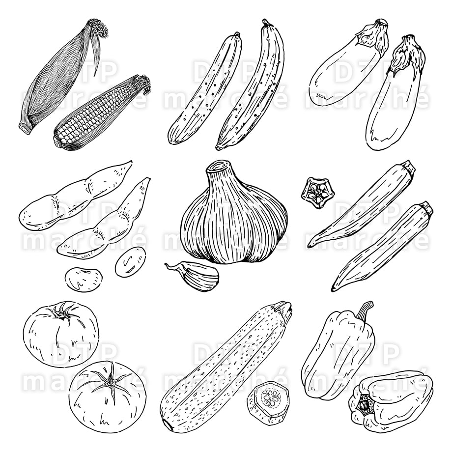 67c0066c463f6003d8756deb