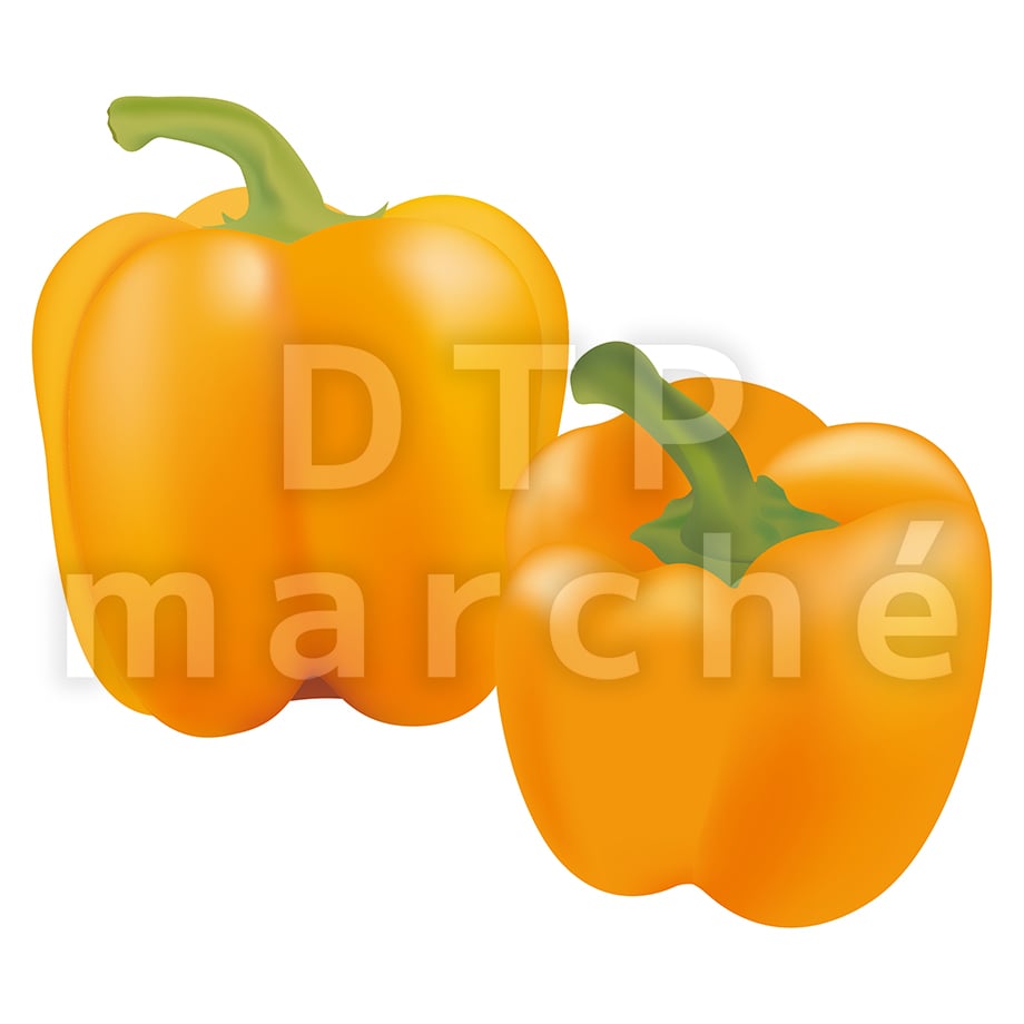 67bea6c168911902897b4e05