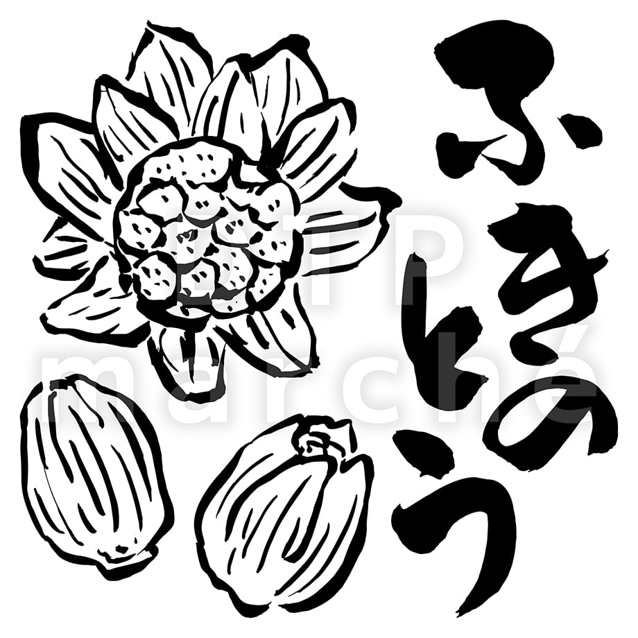 67be60f00e0729002f8a00d7
