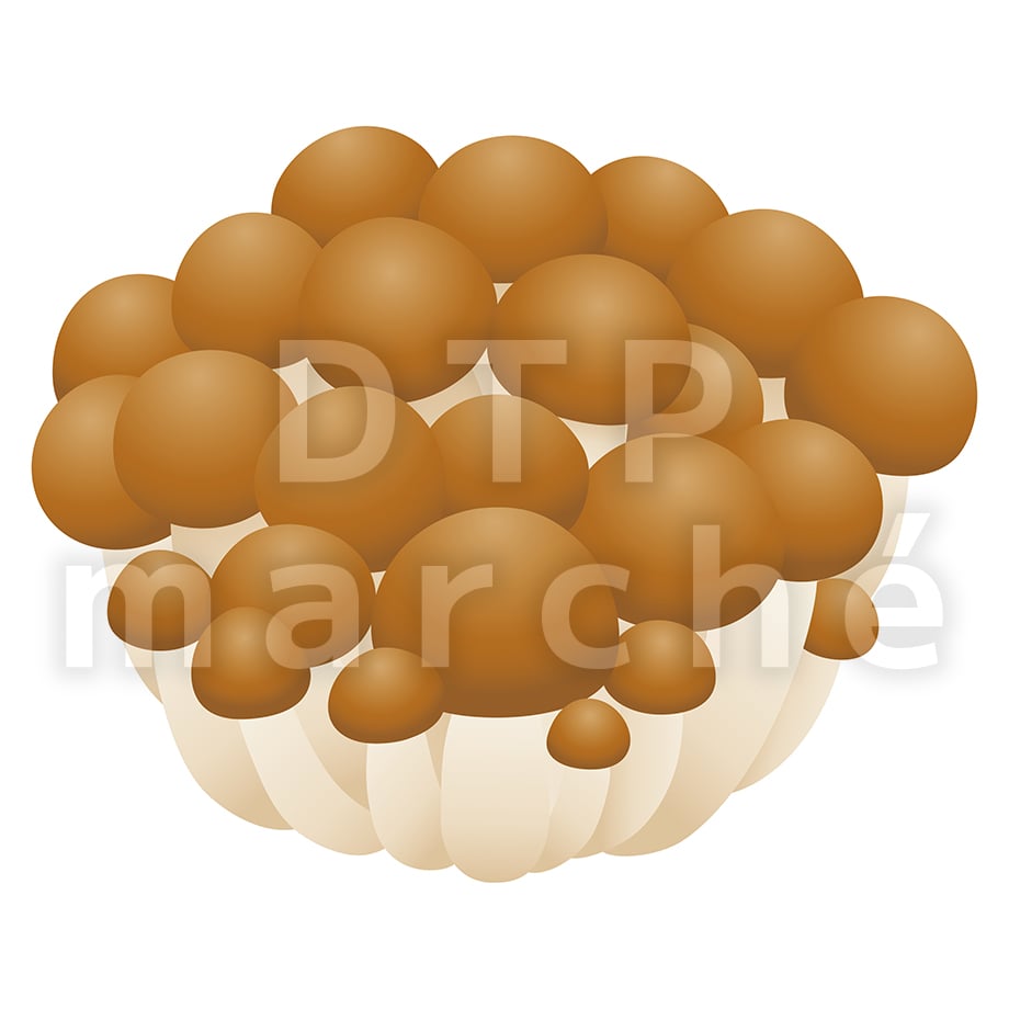 67b80864b859d30153c6ce1f