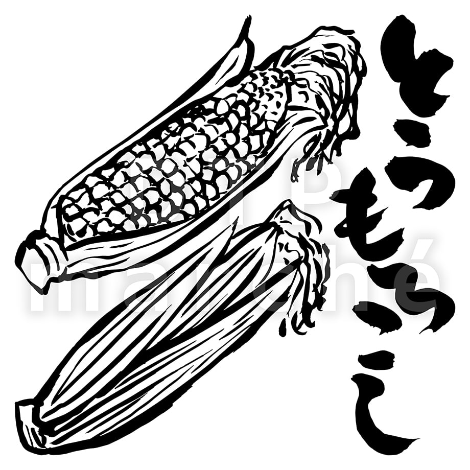 67be657d044f890452650b2f