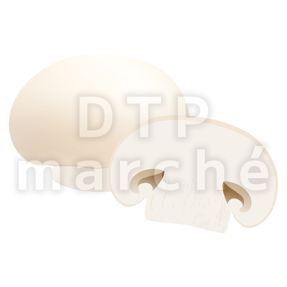 67b8009cfe1d6b047684228d
