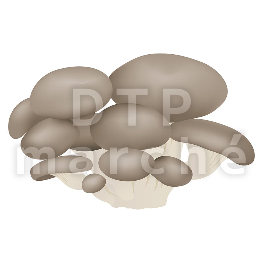 67b805b74adc3205b41ec043