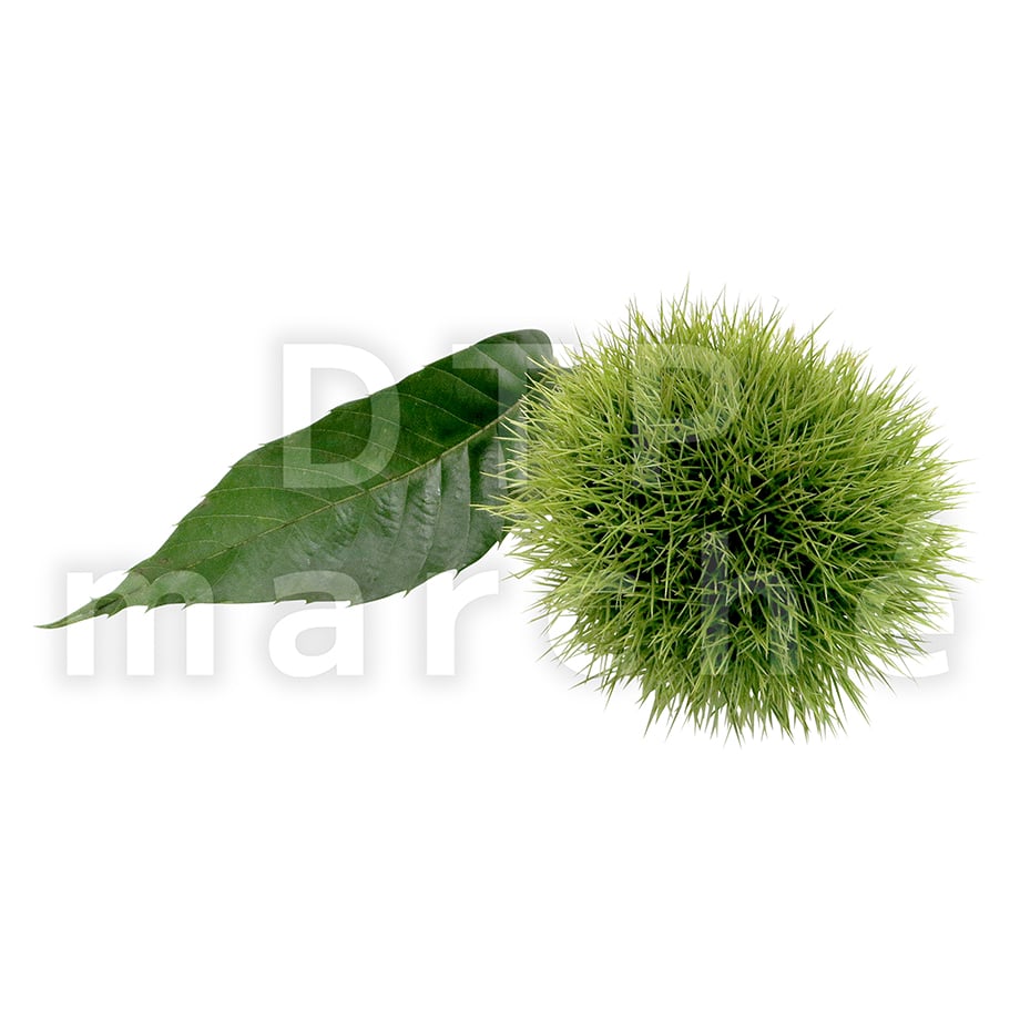 67b66a243fd2e119441243f0
