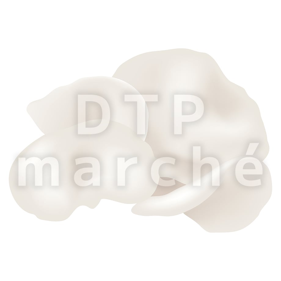 67b80d691d175c027717db5a