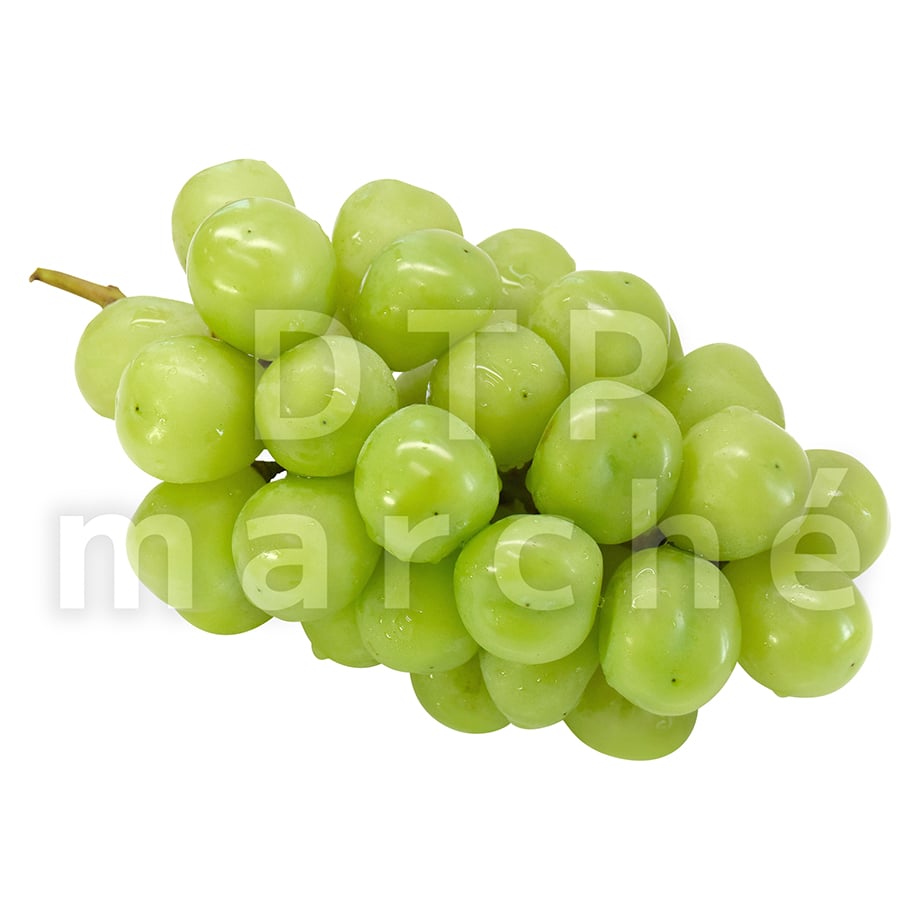 68f09c17e3848e39dc1950bd
