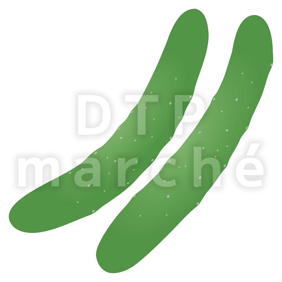 67bfb67563cfc3073ce12377