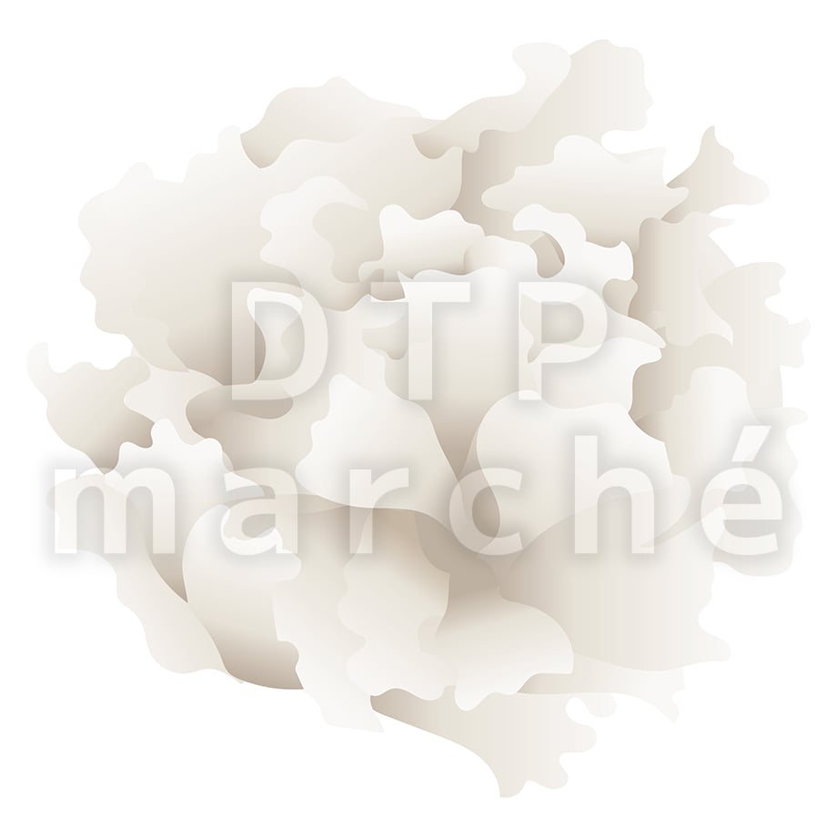 67b806154adc3205ca1ec020