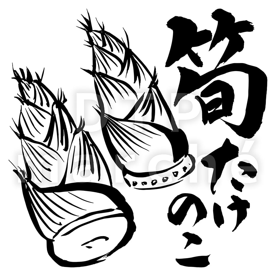 67be68cd40aa62048a19f1e0