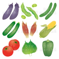 夏野菜のグラデーションイラストセット-010002