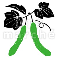 きゅうりのレトロ風イラスト-090005