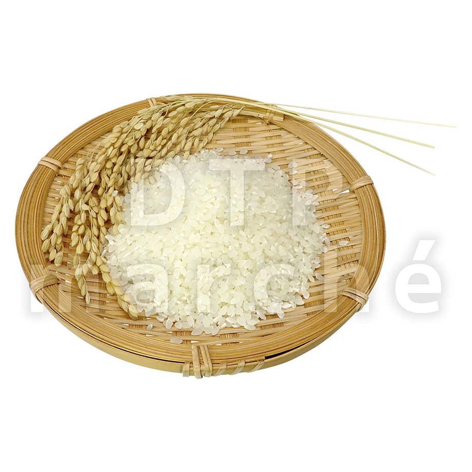 68f09e9f73ce6e0048a7ef8f