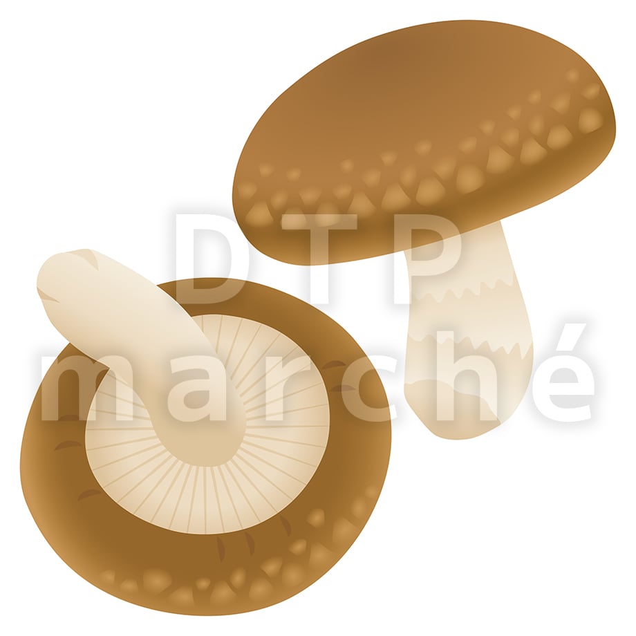 67b80c581b359a02b730a21b