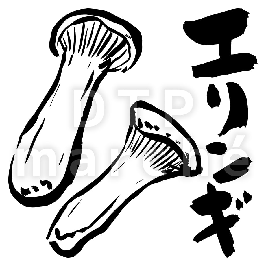 67b7fd1d3e49aa03ae3a3790