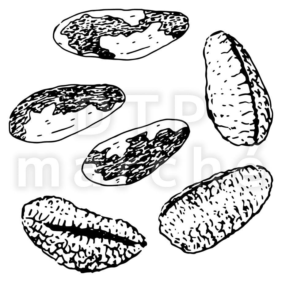 68351caadad01e22434779b3