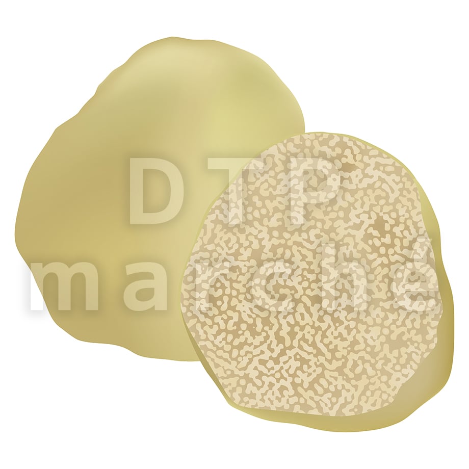 67b806cd918325002b8b1e74