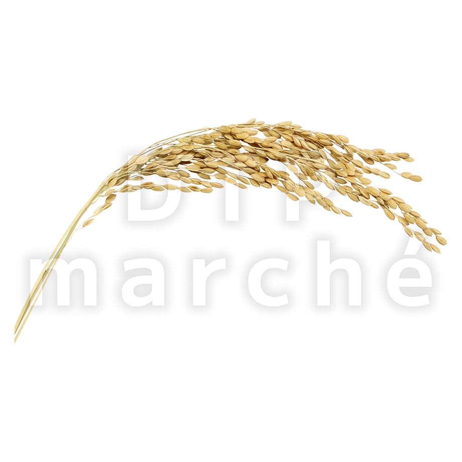68f09cb007d2c43c4f08a328