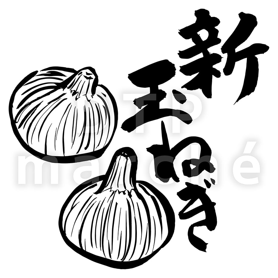 67be67fd40aa62046019f1dc