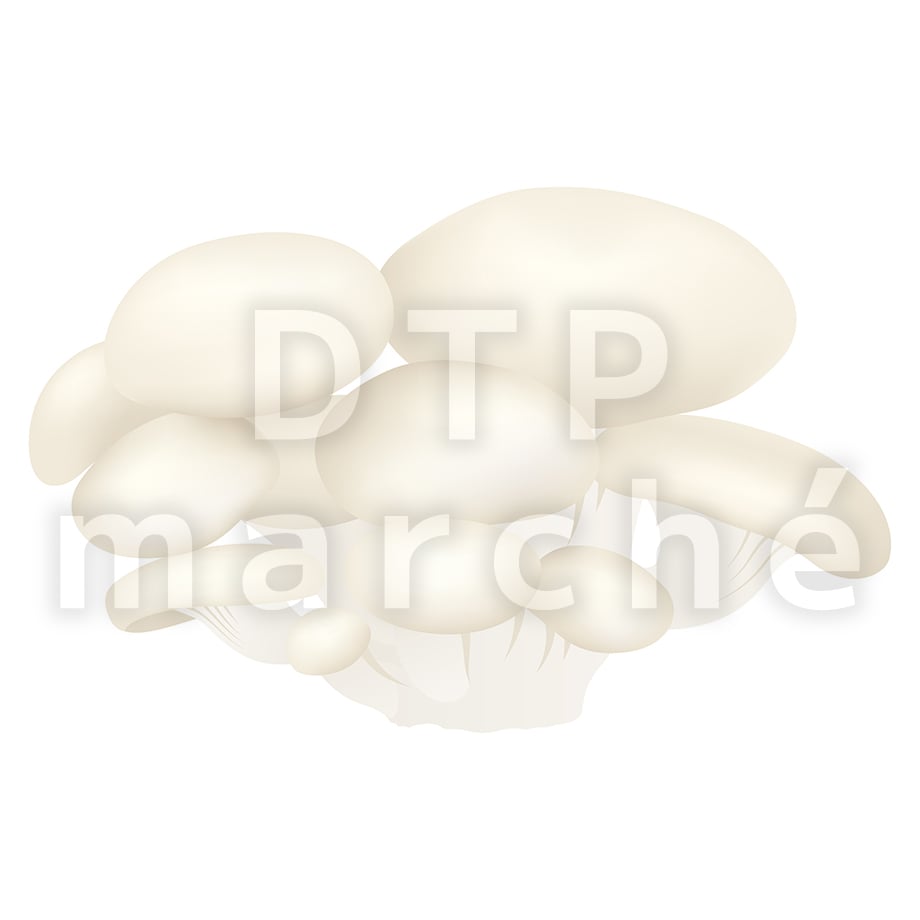 67b8055dfe1d6b05e5842286