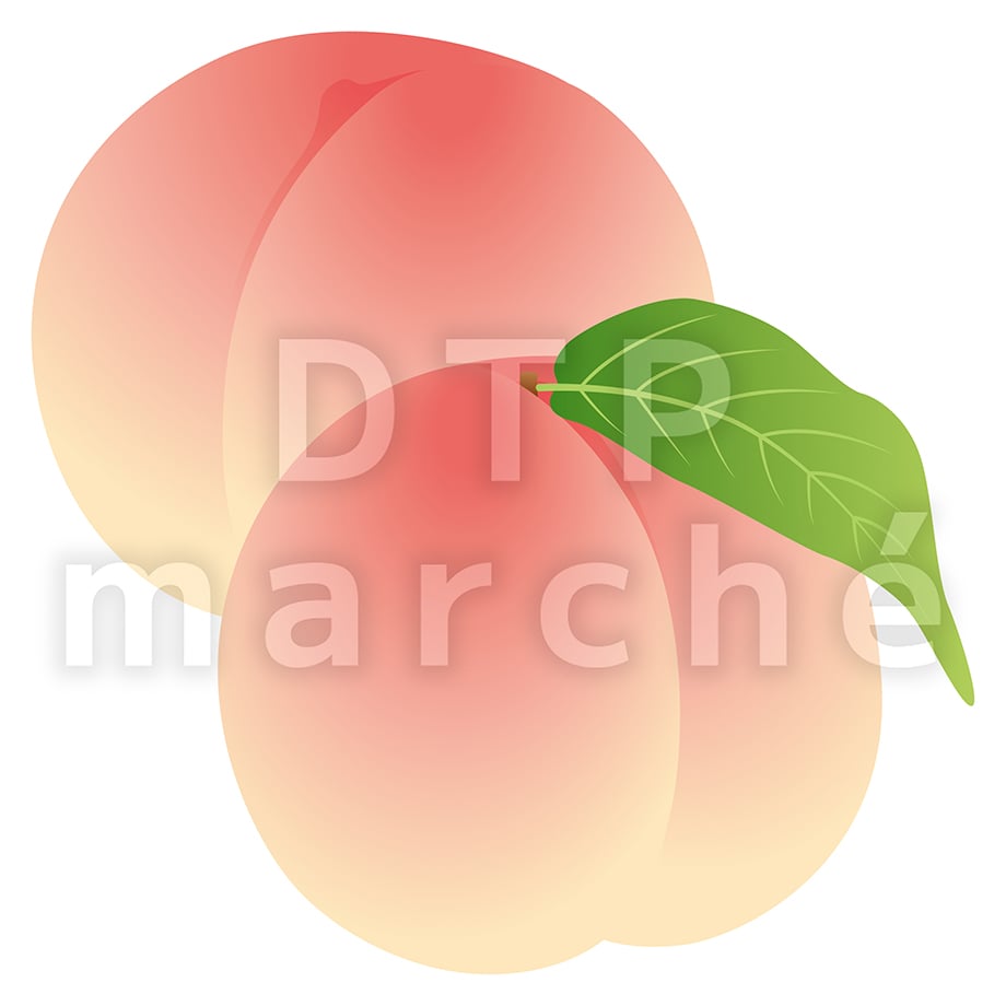 67bd25de212a40024b2f1897