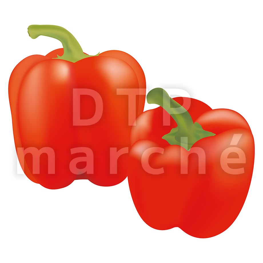67bea5ce85f934020724d159