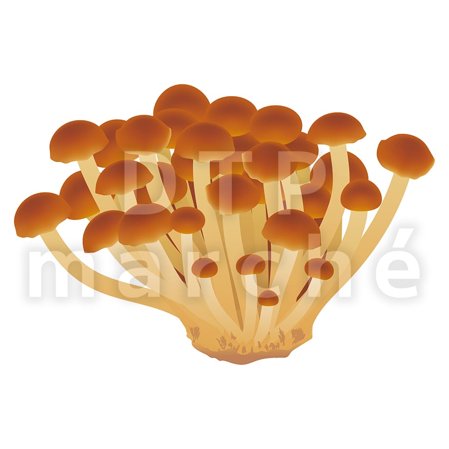 67b80df9b2940f02c5b8afb4