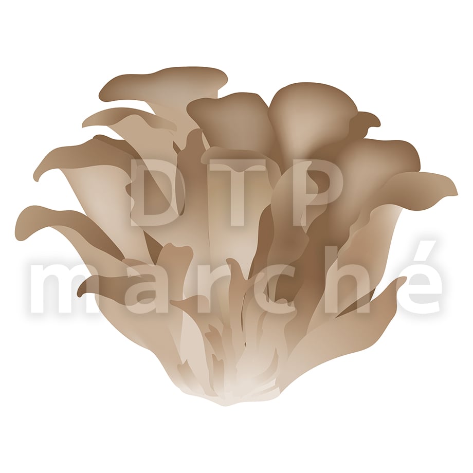 67b80370fdfc8d05746f1679