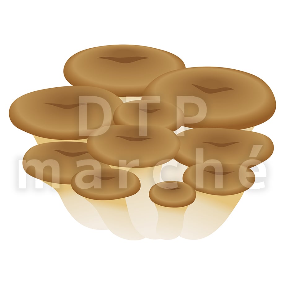 67b8050bf76ce70664cf3ac5