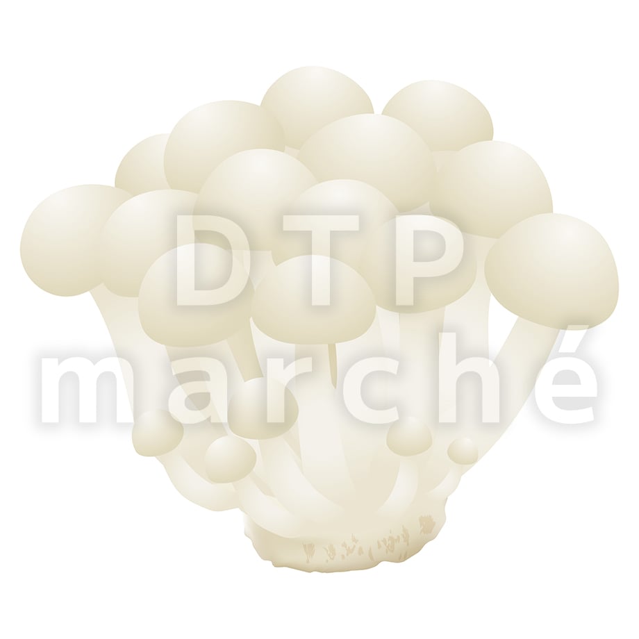 67b80accb859d301eac6ce6a