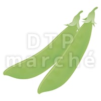 豆【エンドウ豆】のグラデーションイラスト-010109