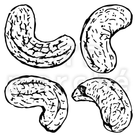 カシューナッツのペン画イラスト-040003