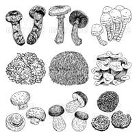 きのこのペン画イラストセット-010005