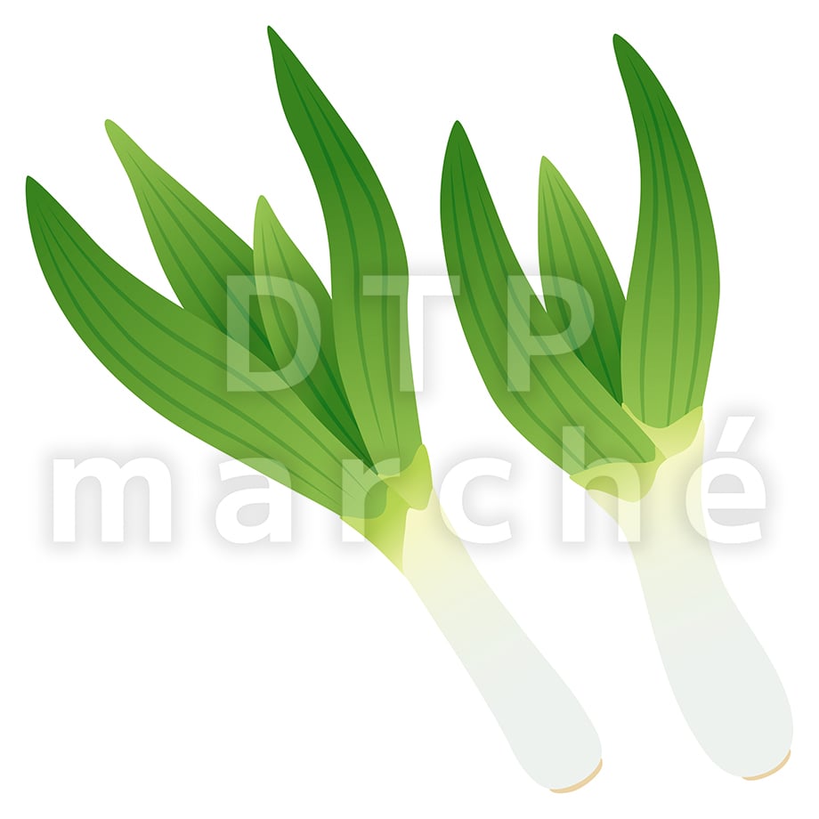 67bea79c68911902b47b4e05
