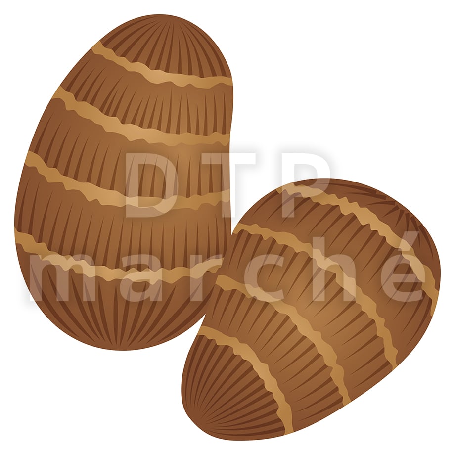 67bfc52d0662f20306f2af6b