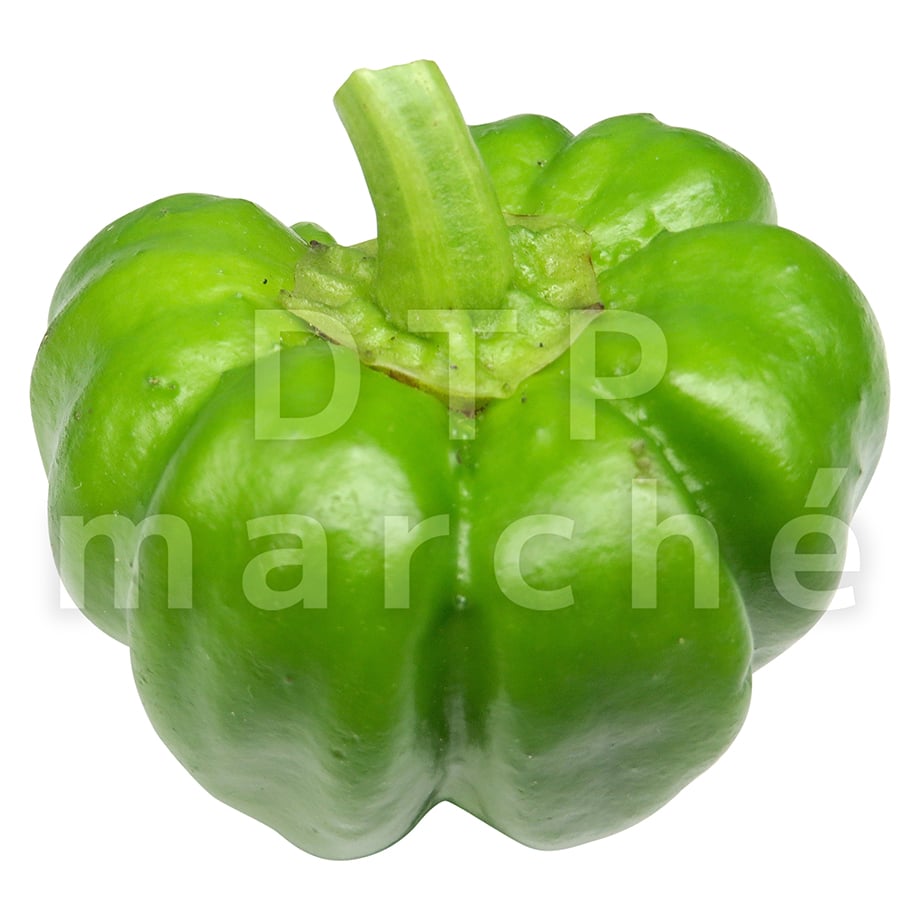 67b7dfe012d0390246e5e777