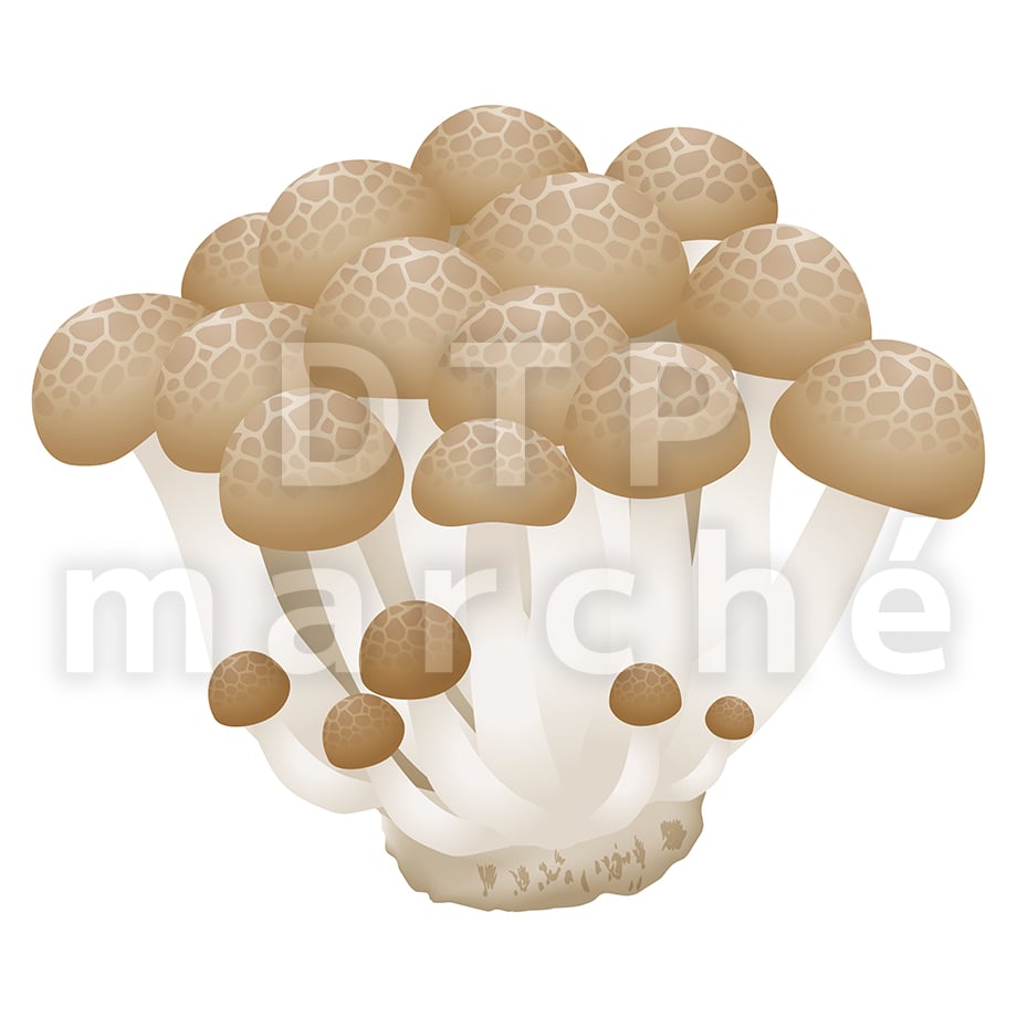 67b80b0fb859d301eac6ce7a
