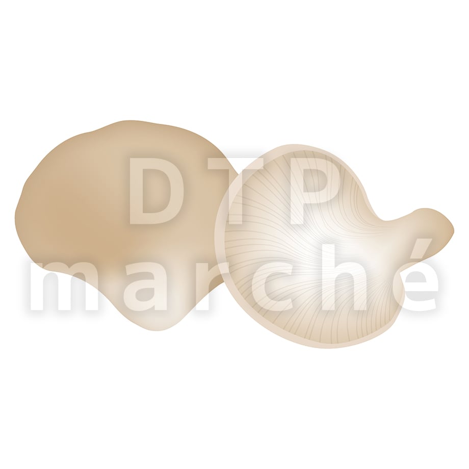 67b8102a1d175c034a17db95