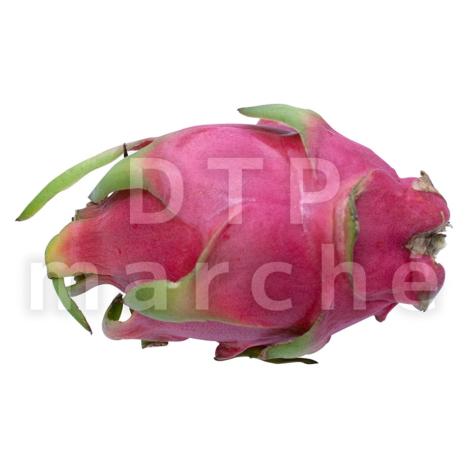 67b56964f00a1f023db2a1db