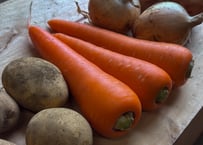 【金賞アロマレッド入り】栽培期間中：農薬・化学肥料不使用　カレー・シチュー野菜セット