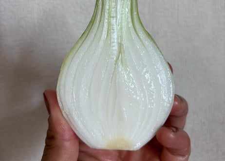 栽培期間中：農薬・化学肥料不使用の新玉ねぎ 2kg