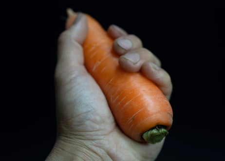 【金賞アロマレッド入り】栽培期間中：農薬・化学肥料不使用　カレー・シチュー野菜セット