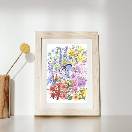Mount Aso alpines plants postcard