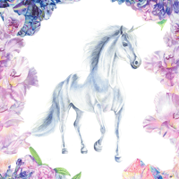 Unicorn postcard