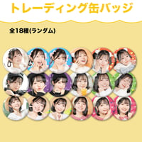 菅野真衣 2025年カレンダー　５個セット 菅野真衣のマイペースマイワールド スクールカレンダー2025（マイ