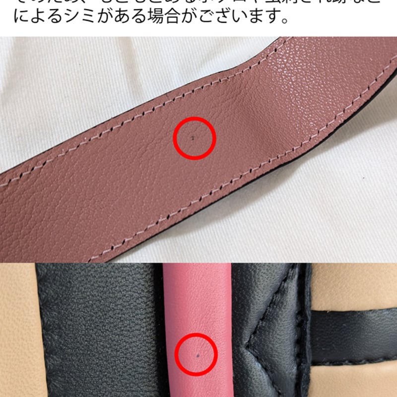 ピエールアルディ マイクロ アルファヴィルバッグ マルチカラーバッグ