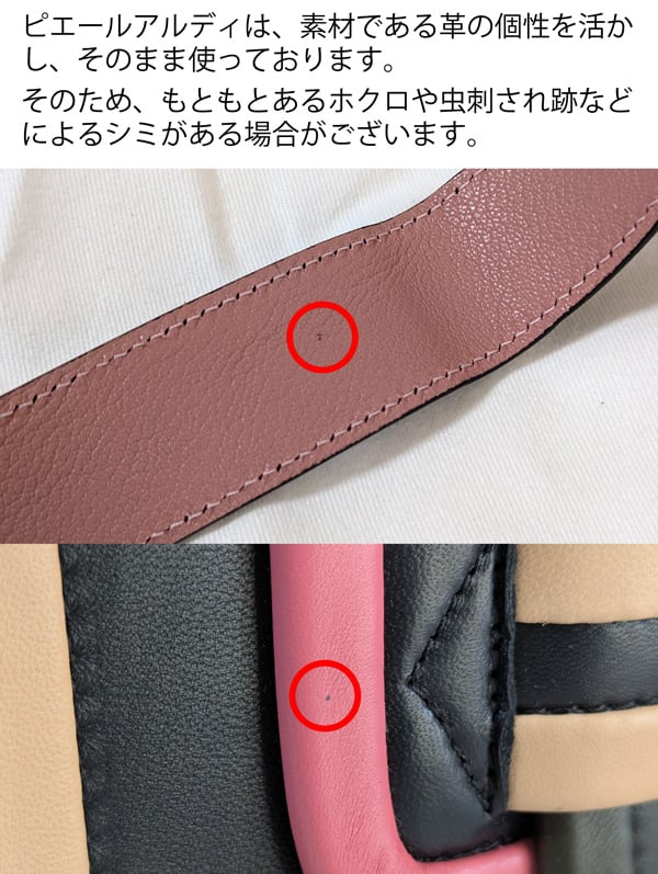 【ほぼ未使用品】ピエールアルディ　マイクロ　アルファヴィル  バッグ　ベージュ PIERRE HARDY（ピエールアルディ） 【カラー限定特価】PIERRE HARDY