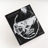 FLASH AND THE PAIN / 痛みと光 / Toshiaki Tashiro Art Works 1995-2020